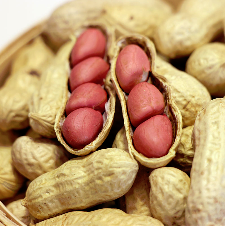 Premium Ugandan Peanuts